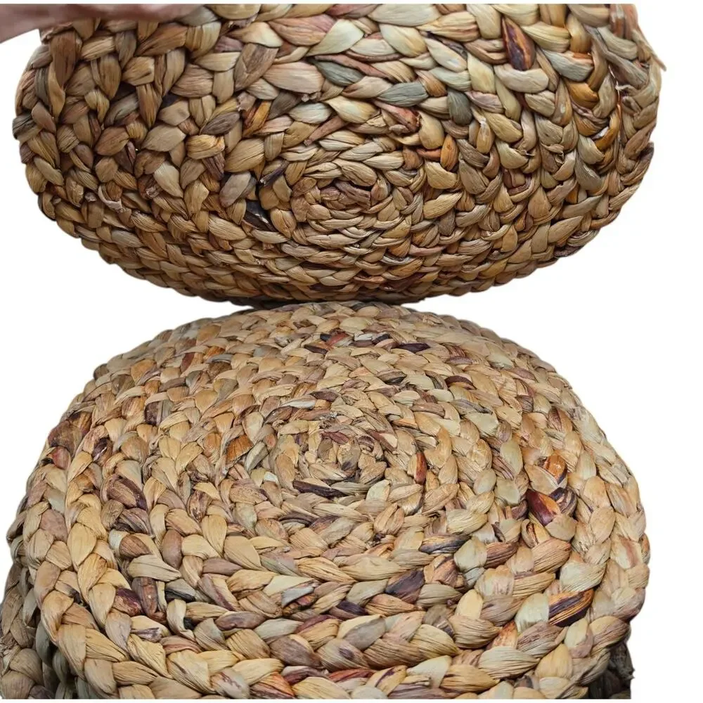 Set of 6 At Home Natural Water Hyacinth Round Placemats 15